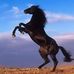 Profile Picture of Amit Lev Ari (@amit.levari.7) on Facebook