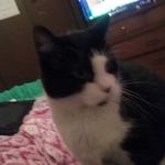 Profile Picture of Bobbie Spencer (@bobbie.spencer.1441) on Instagram