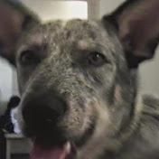 Profile Picture of Pam Henderson (@pamhenderson4937) on Youtube