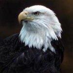 Profile Picture of Jeff Royall (@backwoodshuntclub) on Instagram