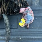 Profile Picture of Dustin Hyde (@dustin.hyde.779) on Facebook