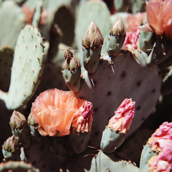 Profile Picture of Jaechon Anderson (@jaechonanderson) on Poshmark