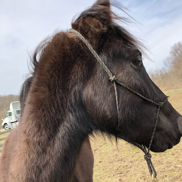 Profile Picture of Jennifer Faketty (@jenfaketty) on Poshmark