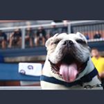 Profile Picture of Garrett Kern (@garrettk17) on Instagram
