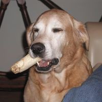 Profile Picture of Jon Dykstra (@jon-dykstra-7) on Quora