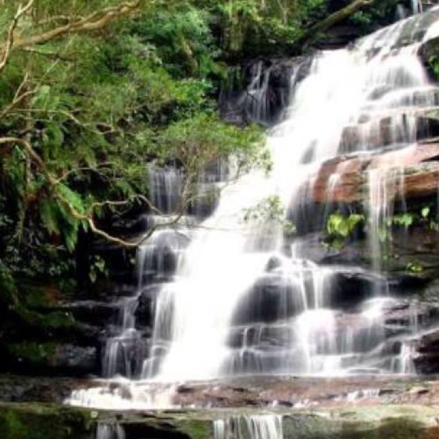 Profile Picture of AaliyahScott (@@aaliyahscott123) on Tiktok