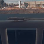 Profile Picture of Jorge Labigo Calanguinho (@jorge_mascoteeeh) on Instagram
