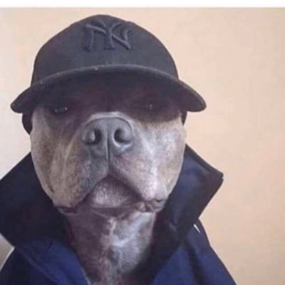 Profile Picture of Steven Houghton (@sleevesteve76) on Twitter