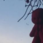 Profile Picture of Zelgarthe_Person (@zelgar_) on Instagram