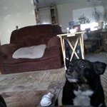 Profile Picture of Robert Newhard (@robertnewhard) on Instagram