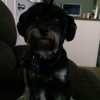 Profile Picture of Rene Menjivar (@rene-menjivar-3) on Quora