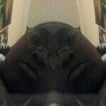 Profile Picture of michael (@michaelcotten31) on Instagram