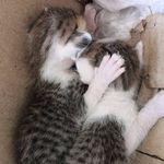 Vijayalakshmi Vaidhyanathan - Instagram Profile Picture of Vijayalakshmi Vaidhyanathan (@vaidhyanathanvijayalakshmi) on Instagram