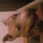 Profile Picture of THATKID716 (@jalen_richardson) on Instagram