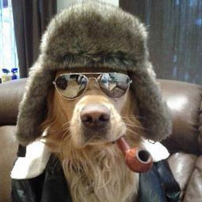 Profile Picture of Joe Dyson Jackson (@mjosephlc) on Twitter