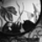 Profile Picture of Mateus  S'a (@trampos_mateus_sa) on Flickr