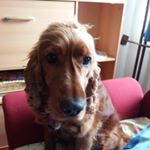 Profile Picture of Michael (@m.pueschmann2019) on Instagram