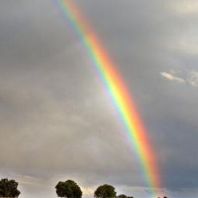 Profile Picture of Chiboub Naima (@ChiboubNaima) on Twitter