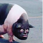 Profile Picture of Chris Bettis (@tiny.bison) on Instagram