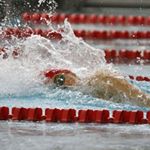 Profile Picture of Victor Vatchev (@victor_swimfree) on Instagram
