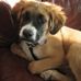 Profile Picture of Eileen Cosgrove (@eileen.cosgrove.90) on Facebook