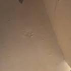 Profile Picture of   User5787534679864246(@kelan... (@kelani._) on Tiktok