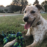 Profile Picture of Amanda Dalessandro (@amanda-dalessandro-8) on Quora