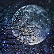 Profile Picture of Mark Carpio (@markcarpio6515) on Youtube