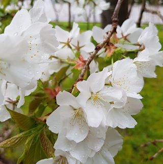 Profile Picture of Jacquelyn Thomson (@JackieTThomson) on Facebook