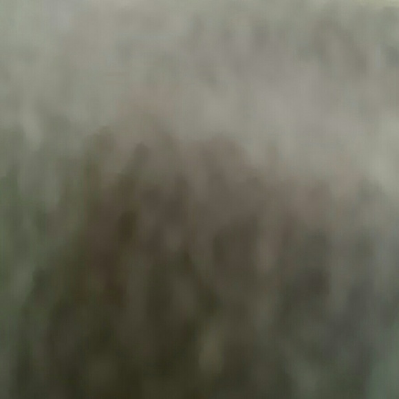 Profile Picture of Bunny Vallone (@bunny7347) on Poshmark