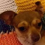 Profile Picture of phyllis wallington (@phylliswwallington) on Instagram