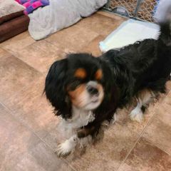 Profile Picture of Nathan Friedman (@nathanfriedman) on Tiktok