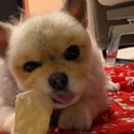 Profile Picture of Адриан Аванесов (@adrianavanesov) on Instagram