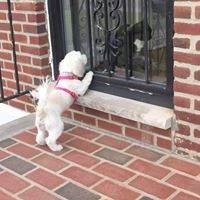 Profile Picture of Veronica Goode (@veronica-goode) on Quora