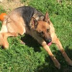 Profile Picture of Marlen Ellenberger-Ryser (@ellenbergerryser) on Instagram