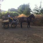 Profile Picture of fernando barranco garcia (@barranco_garcia_fernando) on Instagram