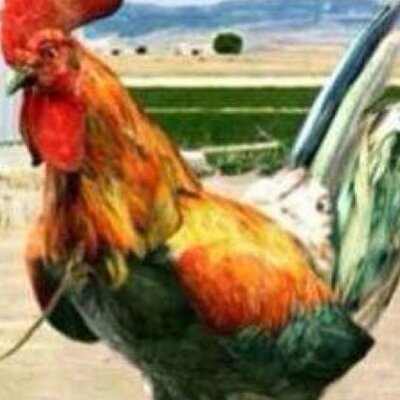 Profile Picture of William Is Annoying (@FluckW) on Twitter