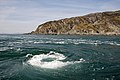 Profile Picture of Whirlpool - Wikipediaon Wikipedia