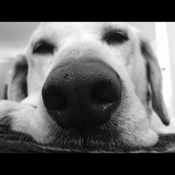 Profile Picture of Eileen Lindgren (@lindgrinney) on Poshmark