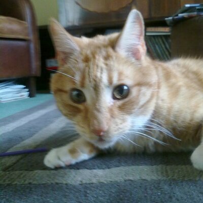 Profile Picture of James Hislop (@JJHislop) on Twitter