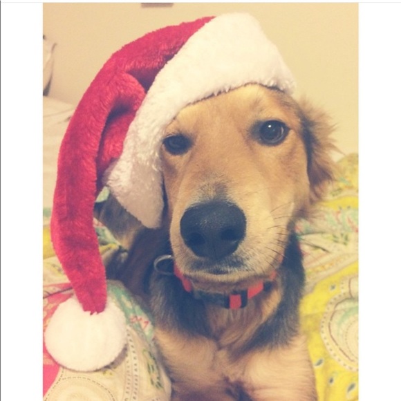 Profile Picture of Bradley Carroll (@brad182) on Poshmark