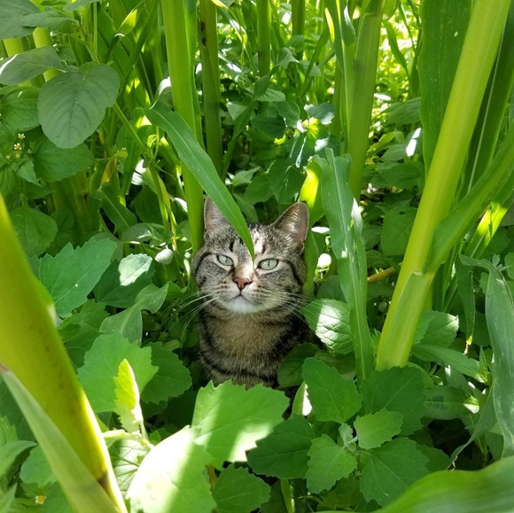 Profile Picture of Paula Gilbertson (@pkgilbertson) on Poshmark