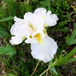 Profile Picture of Chloe Mark (@imperial_chloe93) on Instagram