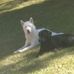 Profile Picture of Issac Futch (@Issac-Futch) on Facebook