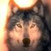 Profile Picture of Larry Wisner (@larry.wisner.52) on Facebook
