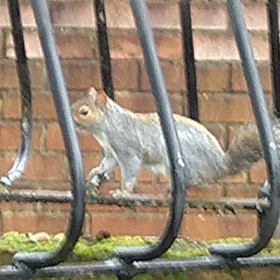 Profile Picture of Michaela Guy (@michael08679245) on Twitter