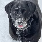 Profile Picture of Aaron Ottman (@aaron.ottman.5) on Facebook