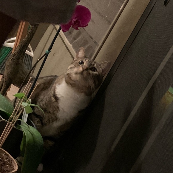 Profile Picture of Tyler Neel (@tyler_neel) on Poshmark