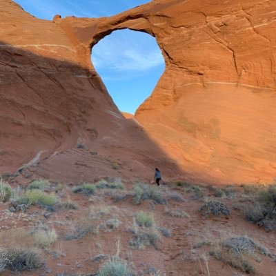 Profile Picture of Tom Temple (@Monttom) on Twitter