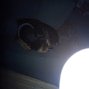 Profile Picture of Christopher Parker (@christopherparker1883) on Youtube